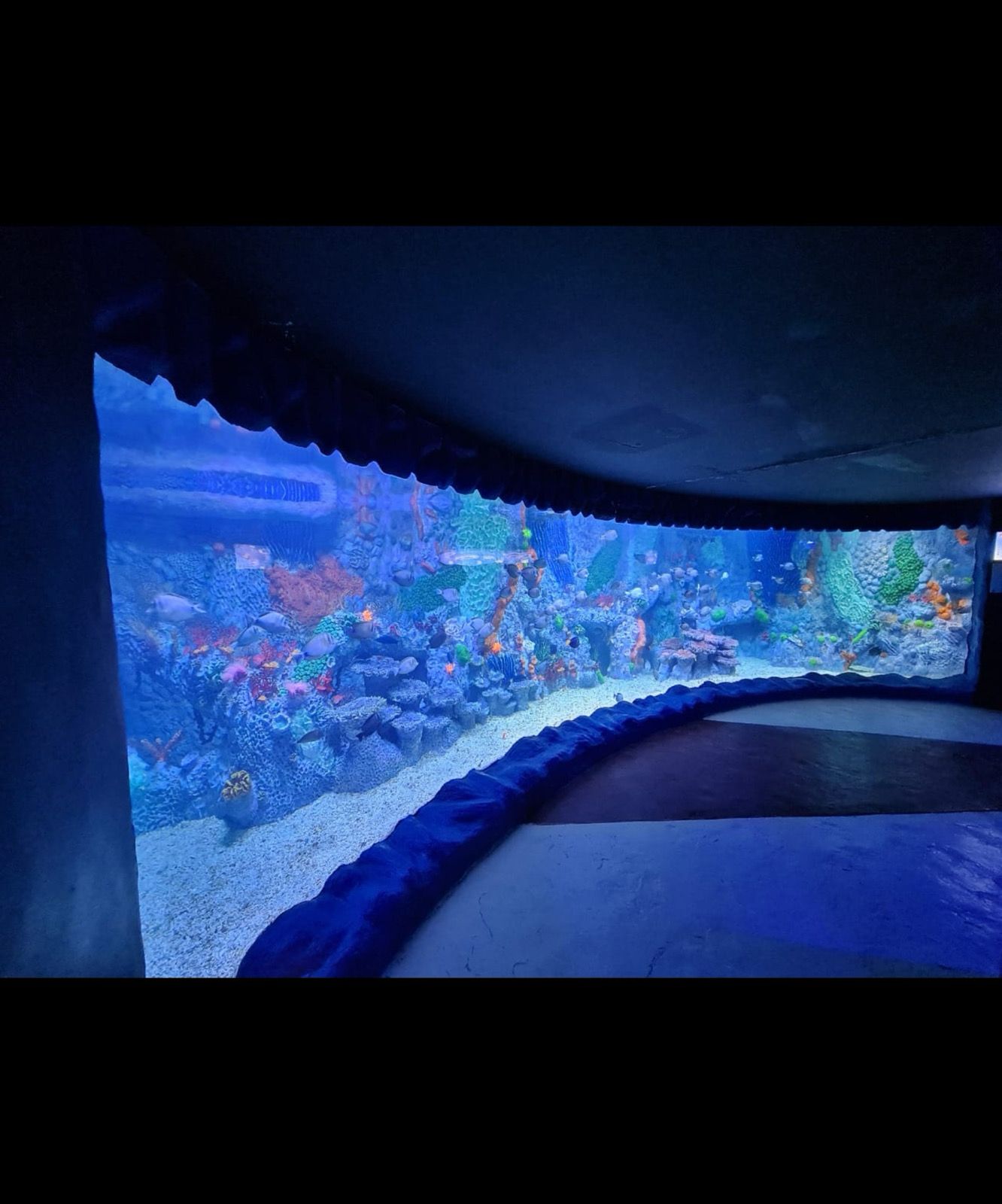 Hurghada Grand Aquarium